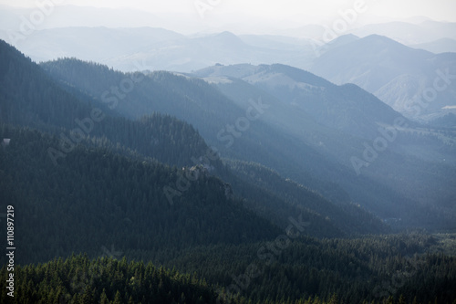 Mountains covered by forests