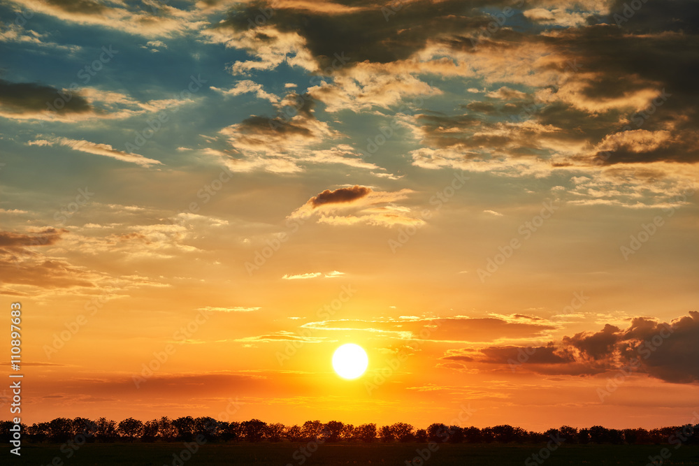 Fototapeta premium sunset, bright colorful sky and clouds as background, tree silhouette