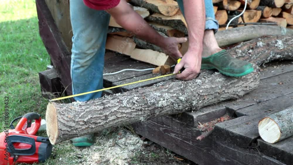 Man makes the log measurements for cutting an electric saw
Man makes the log measurements for cutting an electric saw