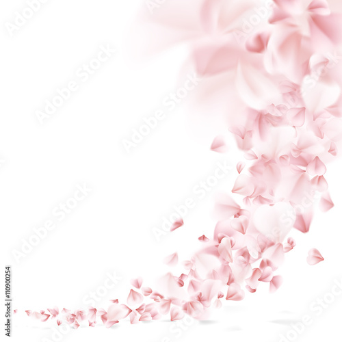 Sakura flying petals. EPS 10