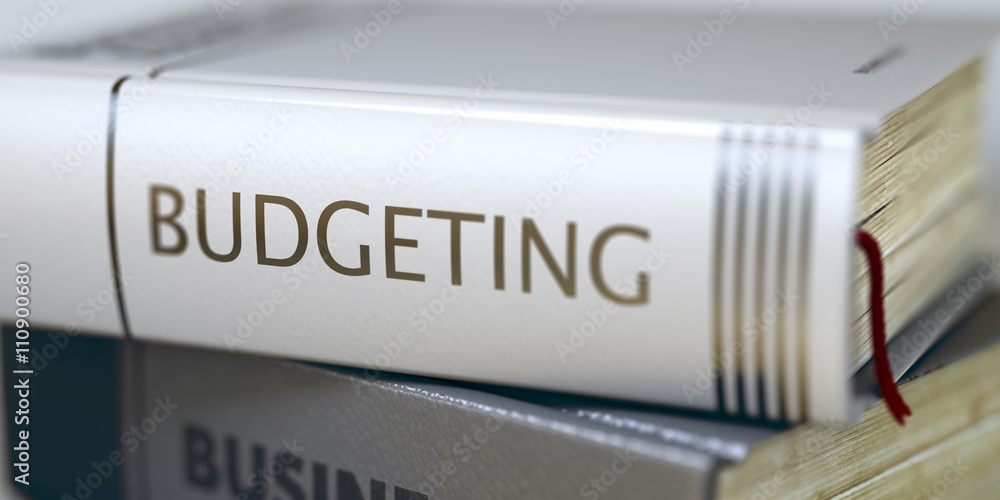Book Title on the Spine - Budgeting. Business Concept: Closed Book with Title Budgeting in Stack, Closeup View. Budgeting - Book Title. Blurred 3D Illustration. Book Title on the Spine - Budgeting. Business Concept: Closed Book with Title Budgeting in Stack, Closeup View. Budgeting - Book Title. Blurred 3D Illustration.