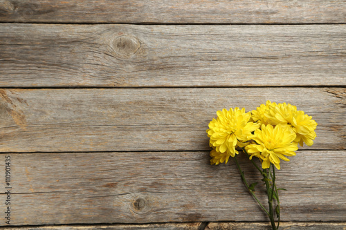 Yellow chrysanthemum flowers on a grey wooden table