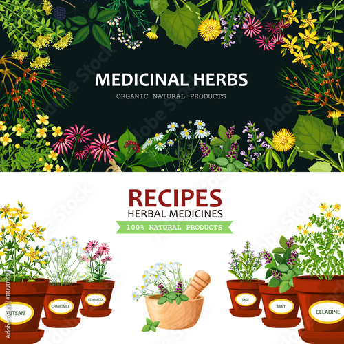 Medicinal Herbs Banners 