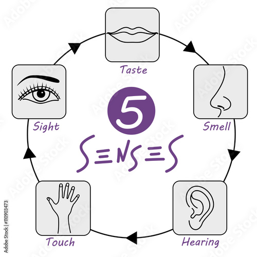 5 senses