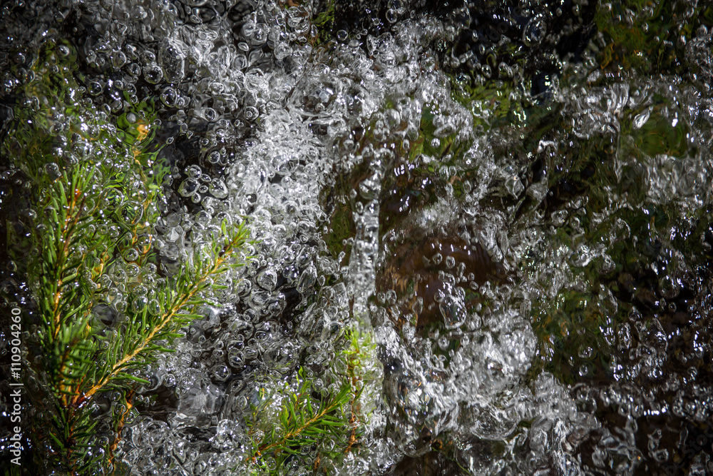 Pine needles in a stream Pine needles in a stream