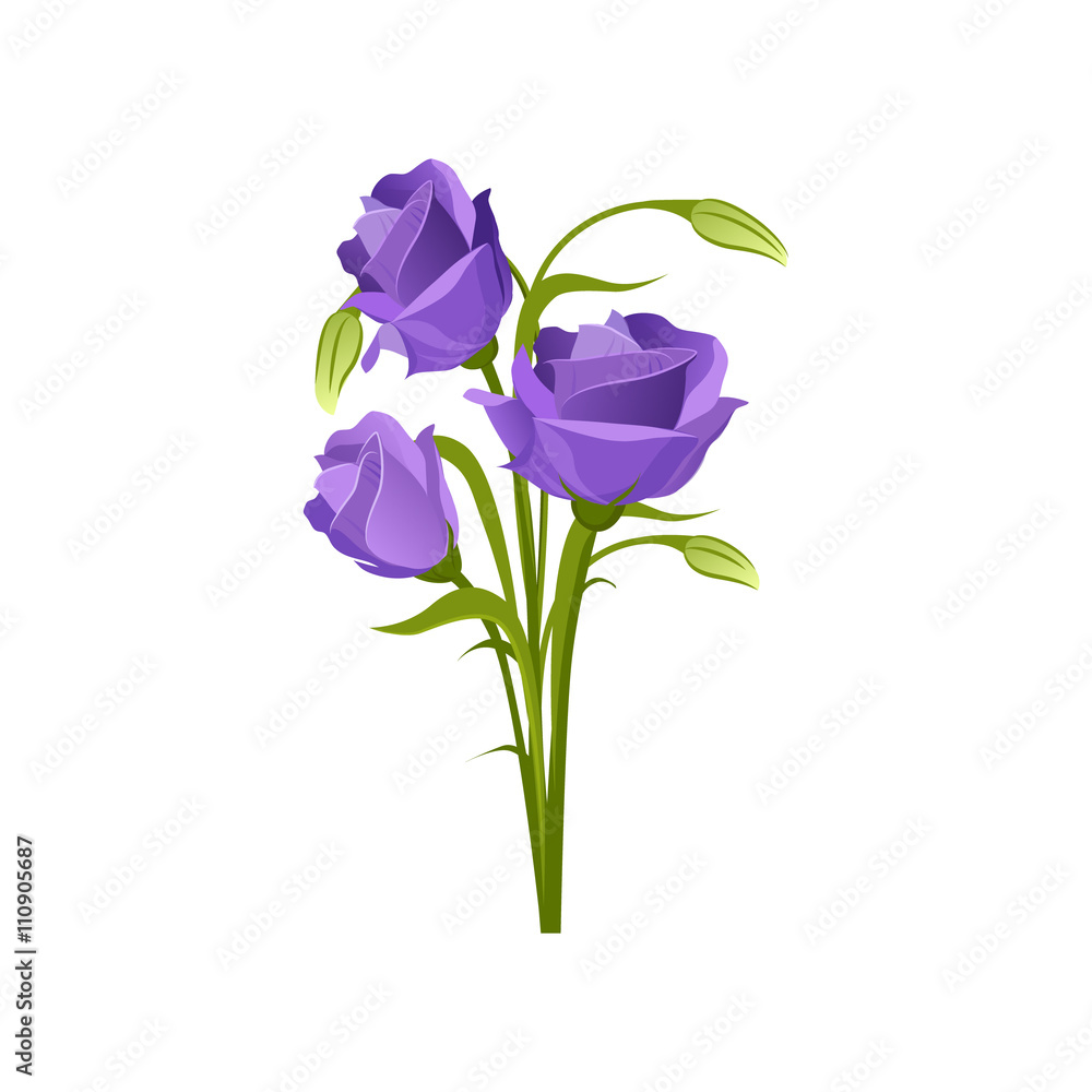 Eustoma Hand Drawn Realistic Illustration Eustoma Hand Drawn Realistic Illustration