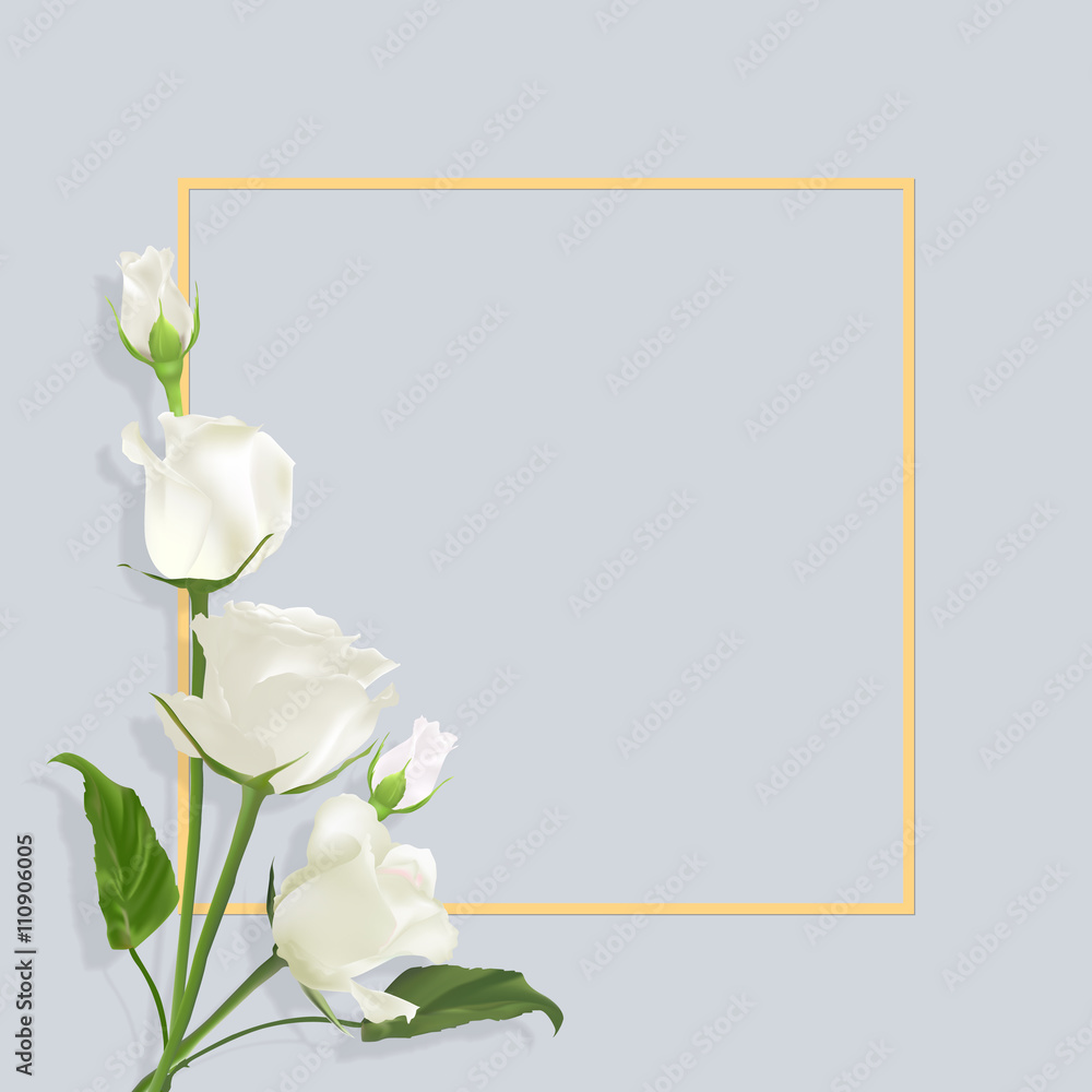 Delicate vector roses
