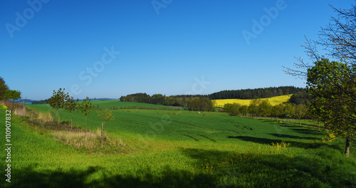 Green landscape in south of Bohemia