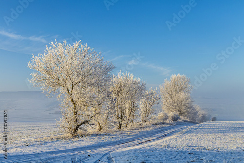 white icy trees in snow covered landscape