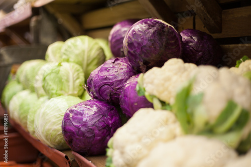 Row of cauliflowers and cabbages in health food shop photo