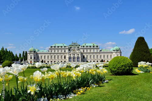 Wien Schloss Belvedere, Park im Frühling mit Tulpen photo