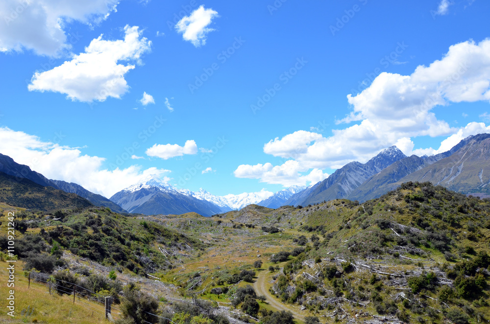 Fototapeta premium Tree felling in pristine wilderness