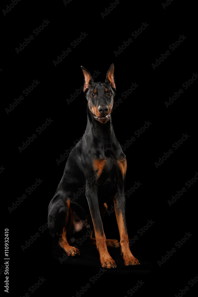 [Image: 1000_F_110932410_MUb4SkQ6YtY1xjfK34DXqAXAkv8ikjBx.jpg]