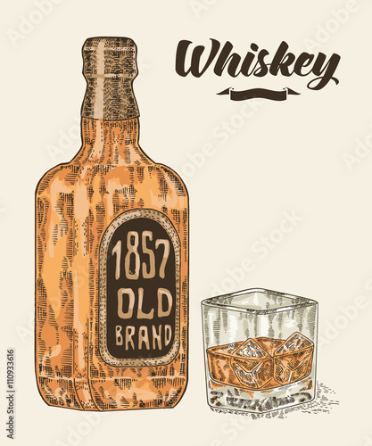 Whiskey in bottle and glass. Hand drawn whiskey drink vector 