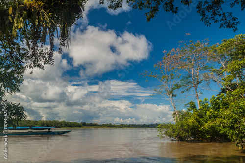 Jungle along river Napo, Ecuador photo