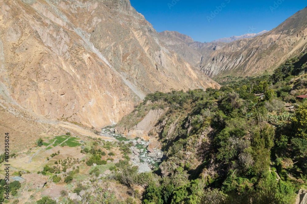 Canyon Colca in Peru