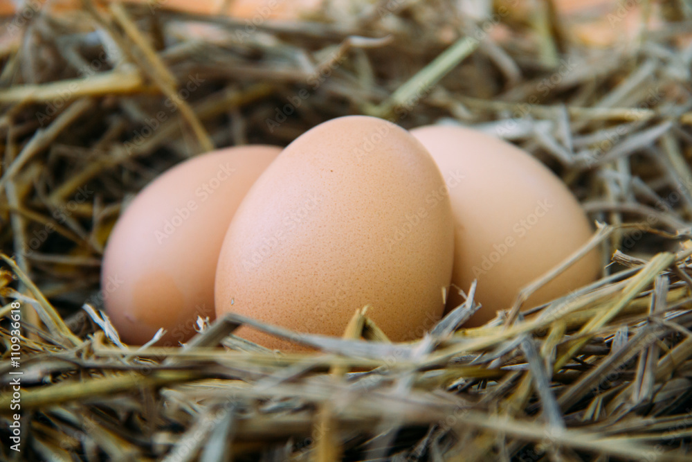Fresh brown eggs Fresh brown eggs