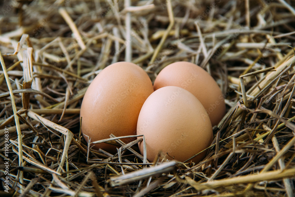 Fresh brown eggs