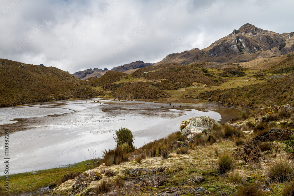 Toreadora lake in National Park Cajas, Ecuador