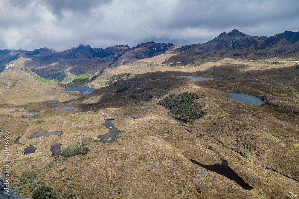 Fototapeta premium Aerial view of landscape of National Park Cajas, Ecuador
