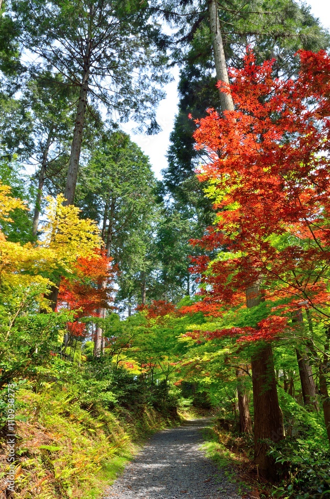 Naklejka premium 京都 猿丸神社参道