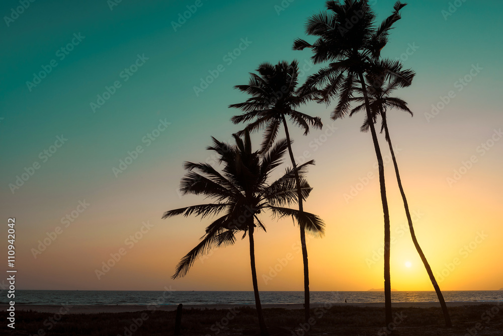 Palm trees at sunset on GOA Beach. India. Vintage processed. Fashion travel and tropical beach concept.