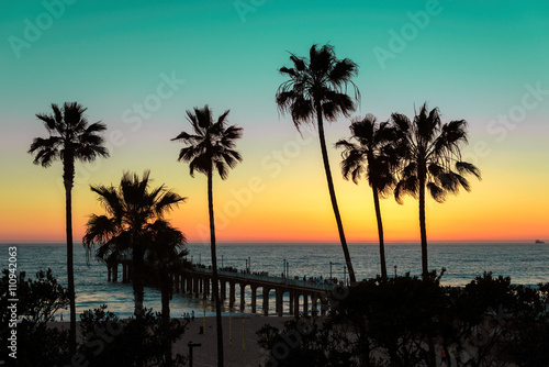Palm trees and pier at sunset on Los Angeles Beach. Vintage processed. Fashion tropical beach concept.