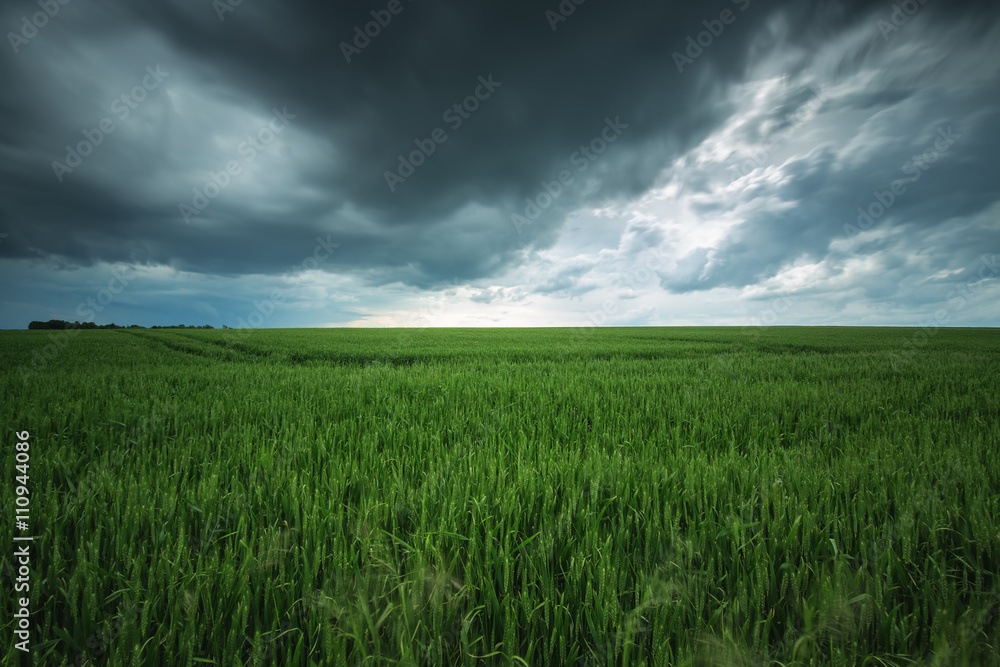 Fototapeta premium Green field and cloudy sky, long exposure