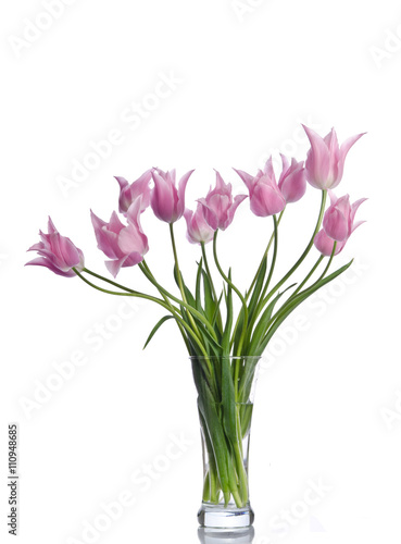 Fototapeta Naklejka Na Ścianę i Meble -  Beautiful pink tulips isolated on white background