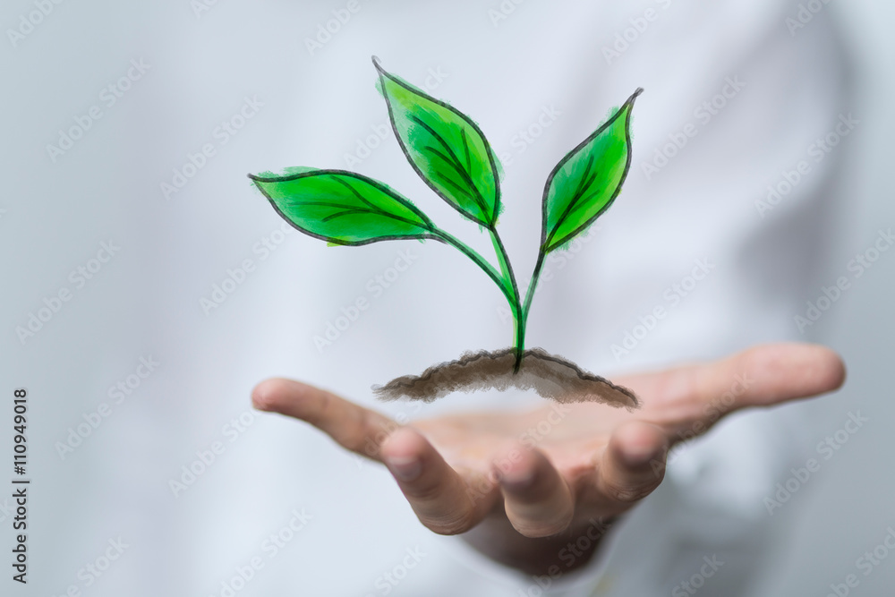 eco eco