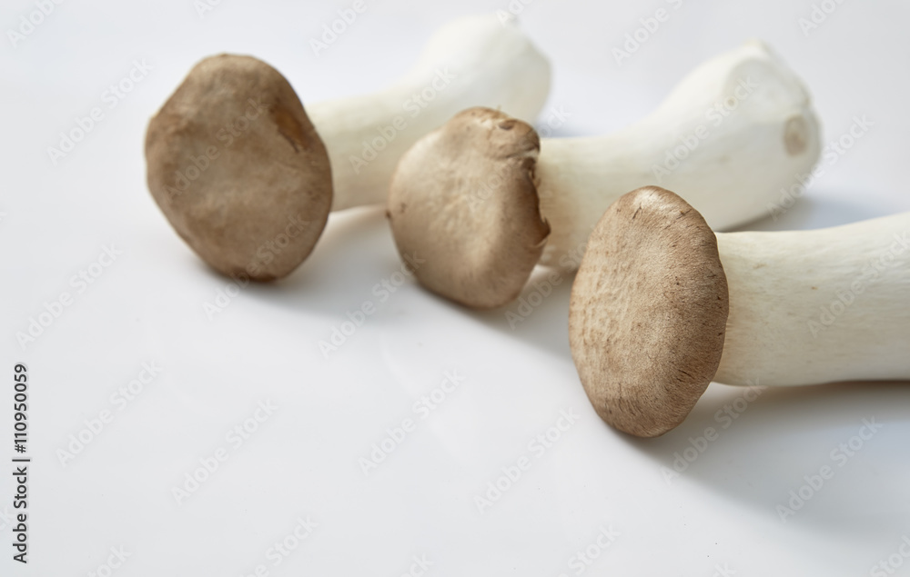 King oyster mushroom King oyster mushroom