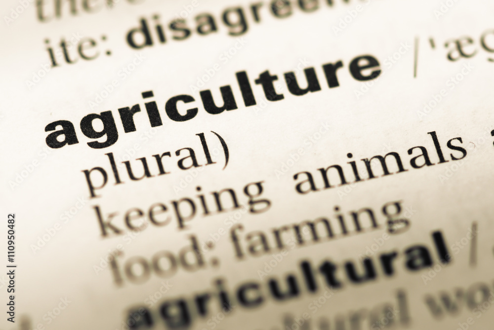 Close up of old English dictionary page with word agriculture Close up of old English dictionary page with word agriculture