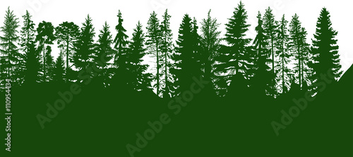 green coniferous forest isolated on white