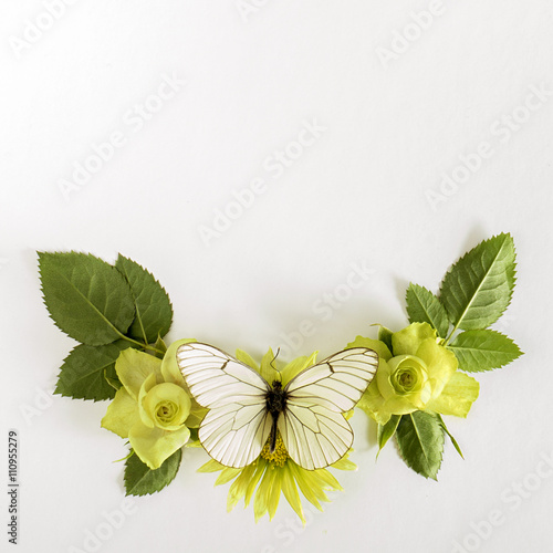 Frame  with  roses, green flowers  leaves and butterflay on white background.  photo