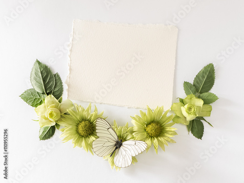 Frame  with  roses, green flowers  leaves and butterflay on white background.  photo