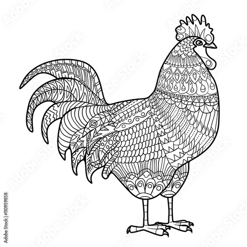 Rooster, Chicken, domestic farmer Bird. Hand drawn cock for anti stress Coloring Page with details, isolated on white