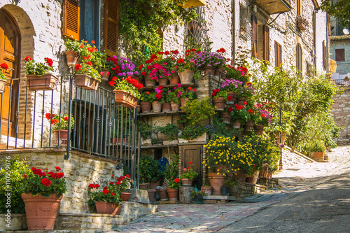 Tableau sur toile Balcone fiorito in un vicolo di Assisi