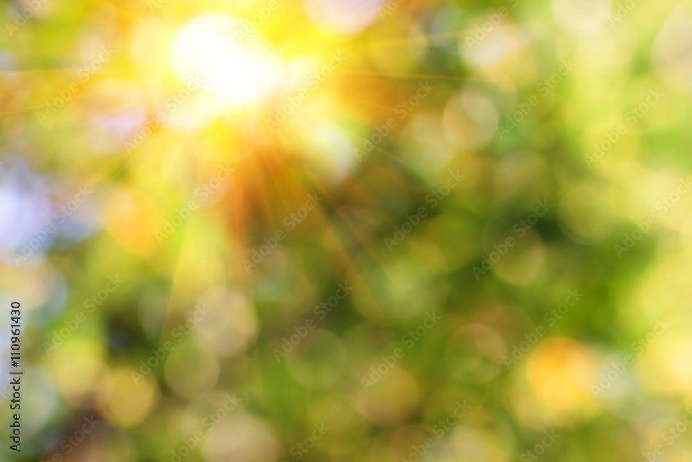 Blur, blur in nature Blur, blur in nature