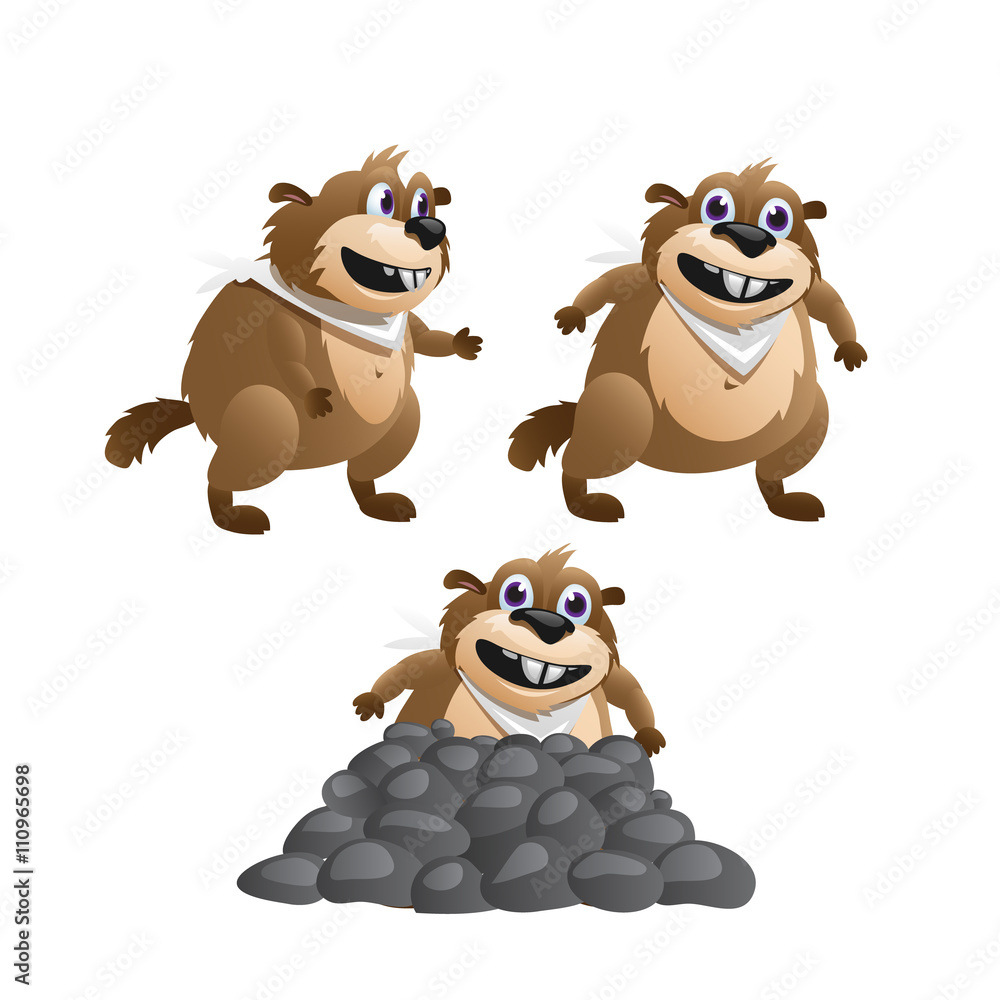 Fototapeta premium Three images of the beaver in various poses 