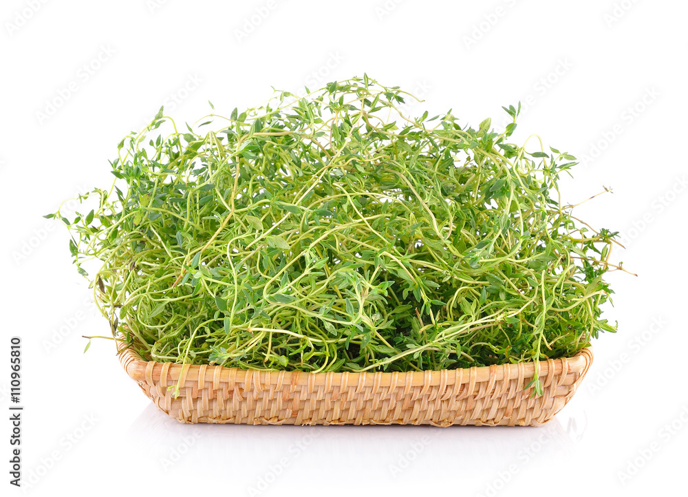 Fresh thyme in basket on white background Fresh thyme in basket on white background