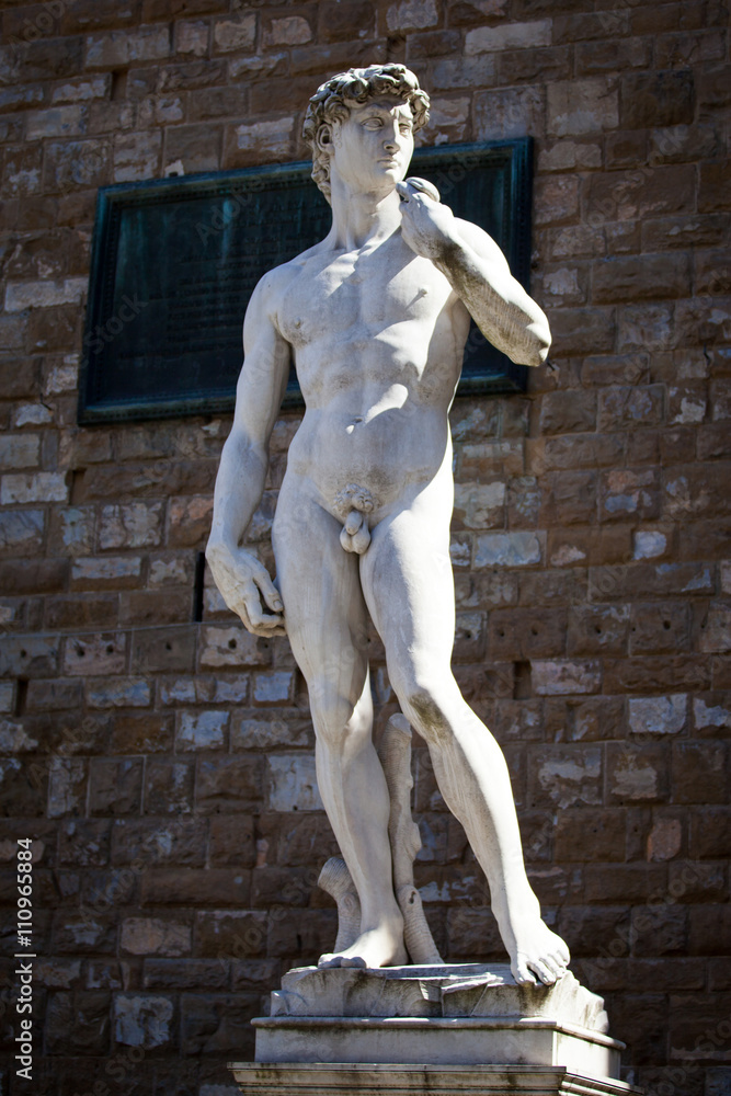 Obraz premium Copy of Michelangelo's David in Florence