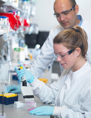 Scientist using multi-channel pipette to fill multiwell plate for analysis of antibodies by ELISA assay, Jenner Institute, Oxford University