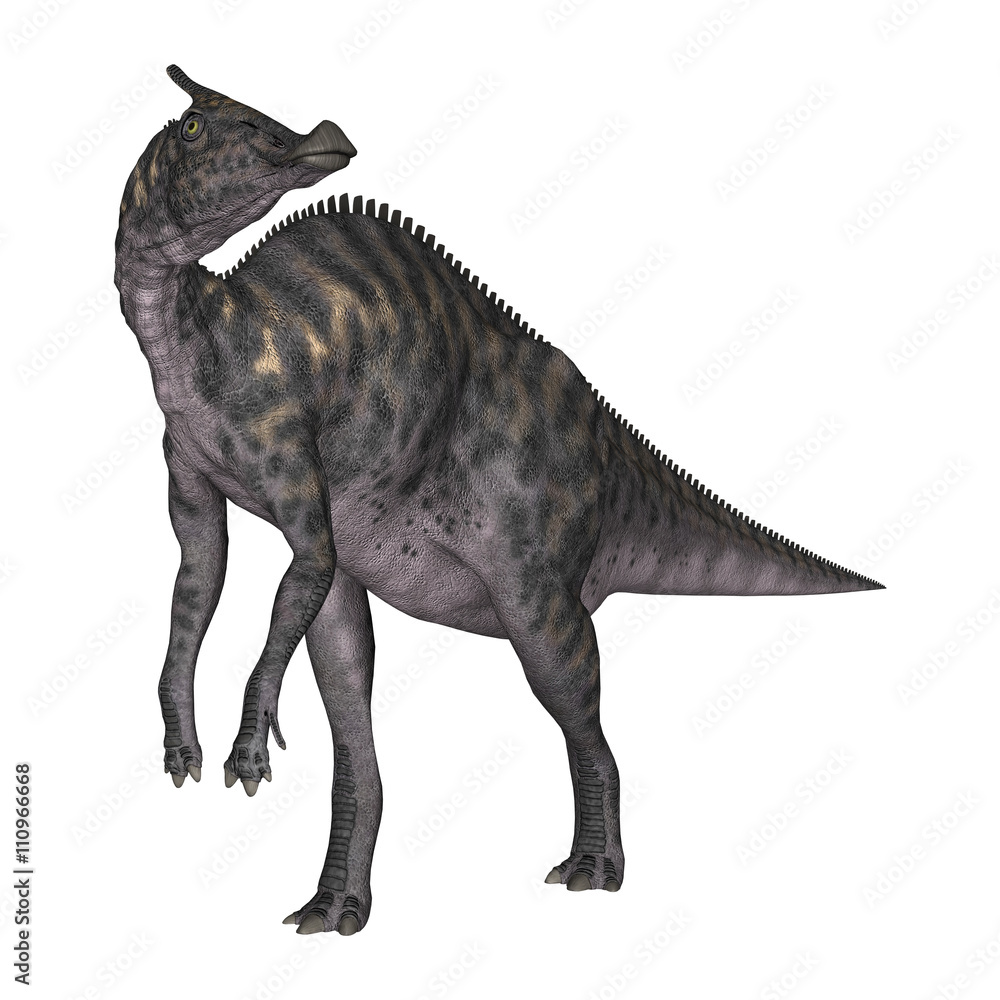 3D Rendering Dinosaur Saurolophus on White 3D Rendering Dinosaur Saurolophus on White