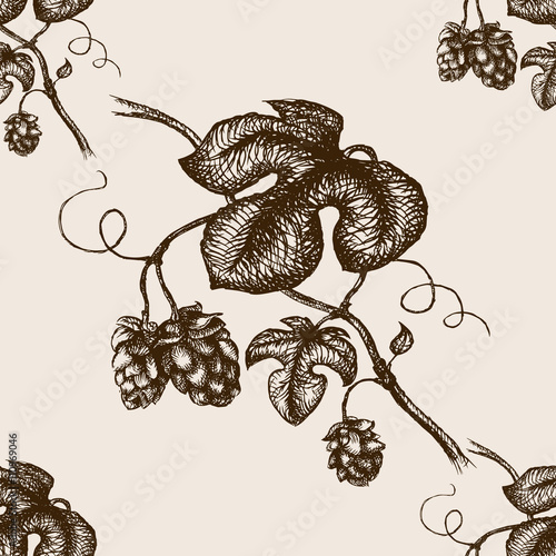Branch of hops hand drawn seamless pattern vector