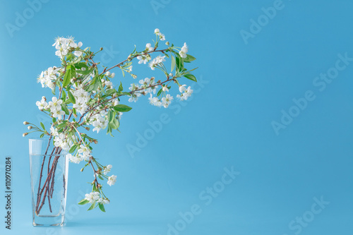 Spring flowers - cherry branch in glass. Card with spring flower