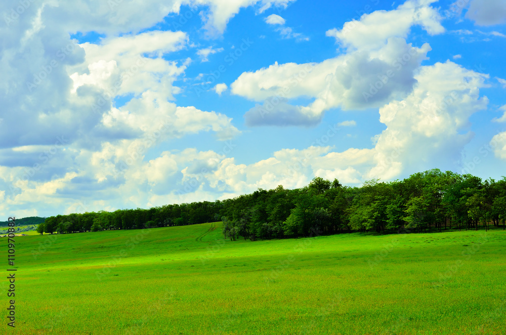 Beautiful landscape. Blue sky with clouds and green meadows with forest belts Beautiful landscape. Blue sky with clouds and green meadows with forest belts