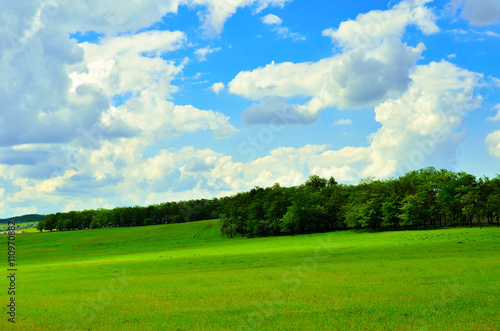 Beautiful landscape. Blue sky with clouds and green meadows with forest belts