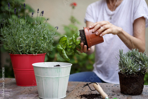 Mid section of mid adult woman potting plants