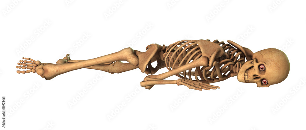 Obraz premium 3D Rendering Human Skeleton on White