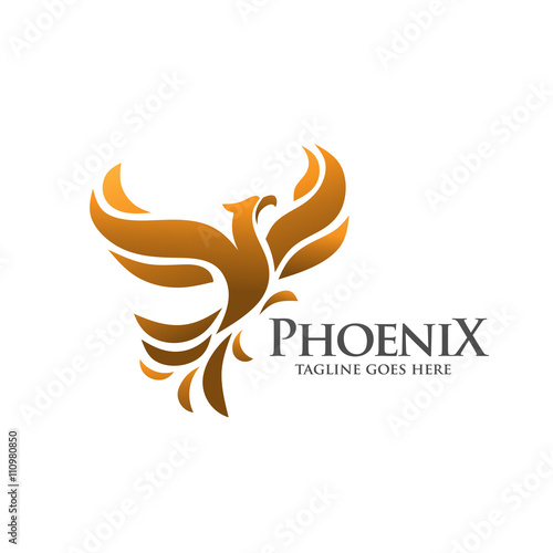elegant and phoenix logo concept